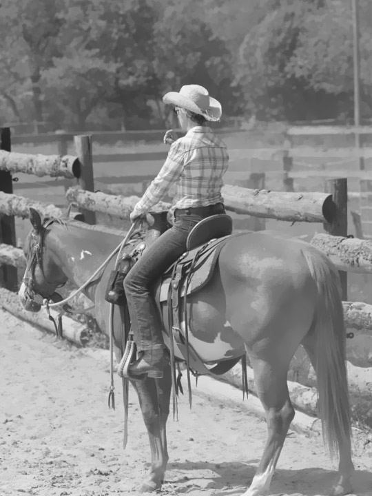 Stage équitation western et séjour western en France et en Amériques -  Caval&go