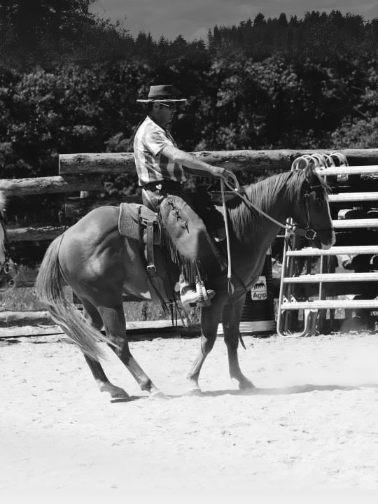 Stage équitation western et séjour western en France et en Amériques -  Caval&go